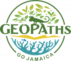 A GEOPAths GO: Jamaica project logo featuring a lizard at the center.